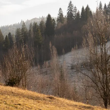 Mirest - в горах із чаном-джакузі Holiday home Slavske