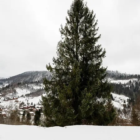 Dom wakacyjny Mirest - в горах із чаном-джакузі